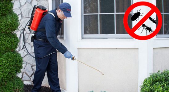 Biga Gümüşkurt İlaçlama böcek ilaçlama ve haşere kontrolü — ilaclama-tr.com